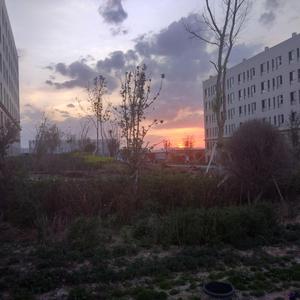 带故事情节的做爱小视频在线播放
