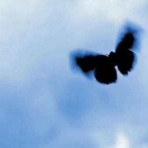 带故事情节的做爱小视频在线播放
